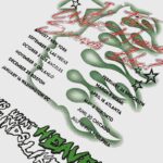 Hellstar Racing white T-shirt