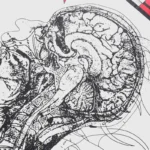 Hellstar T-shirt Human Development Studios