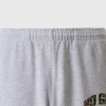 Hellstar No Guts No Glory! Sweatpants Grey